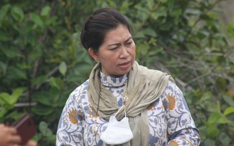 Masyarakat di Wilayah Katingan Harapkan Bantuan Sektor Pertanian