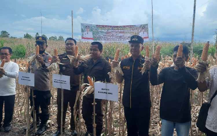 Bupati Gunung Mas Bangga Poktan Bina Karya Dukung Suksesnya Program Smart Agro