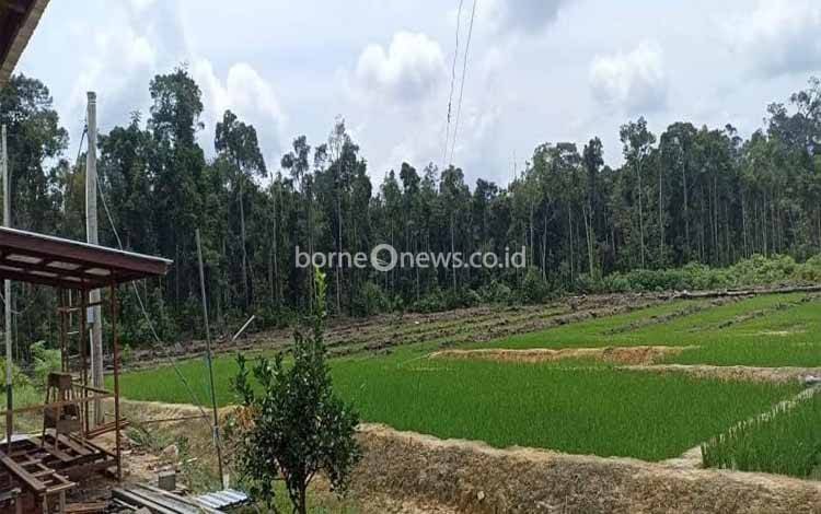 Motivasi dan Inspirasi Petani Tingkatkan Pertanian
