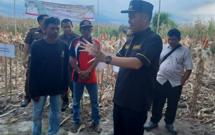 Bupati Gunung Mas Dorong Petani Tingkatkan Pemanfaatan Lahan