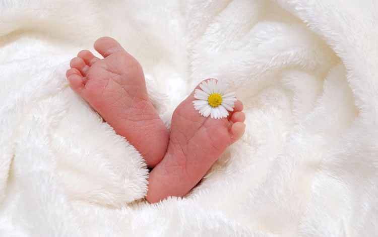 Dinkes Mura Dorong Orangtua Aktif Cegah Kelahiran Bayi Stunting
