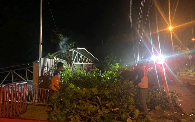 TRC BPBD Kapuas Bersihkan Pohon Tumbang Akibat Angin Kencang di Jalan Pemuda