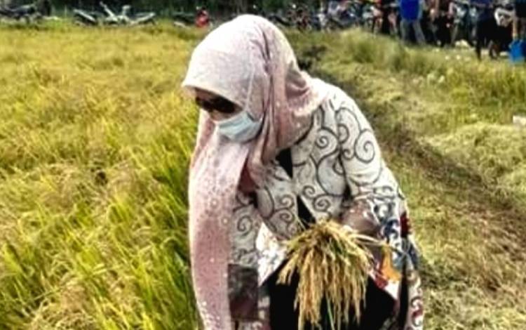 Berdayakan dan Beri Pelatihan Masyarakat Petani di Kalteng