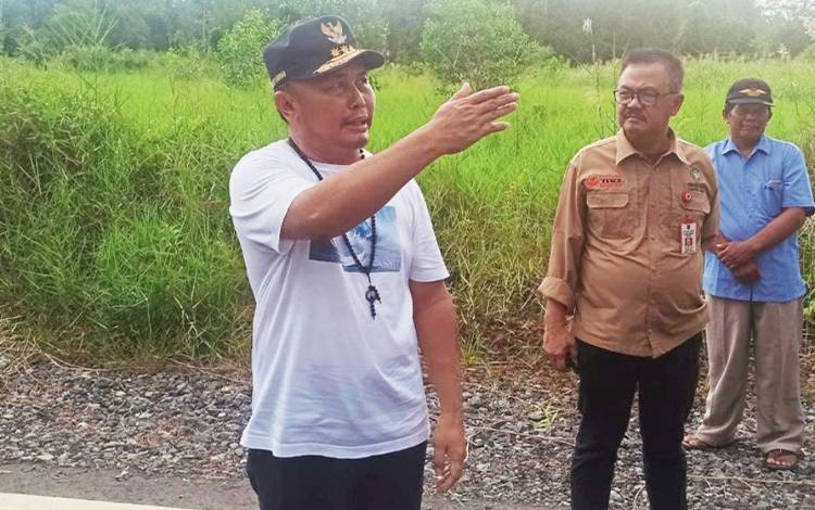 Gubernur Optimistis Sistem Terintegrasi Food Estate Berikan Dampak Signifikan