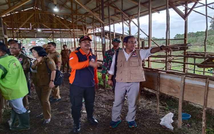 Segini Capaian Vaksinasi PMK Ternak Warga di Kabupaten Kapuas