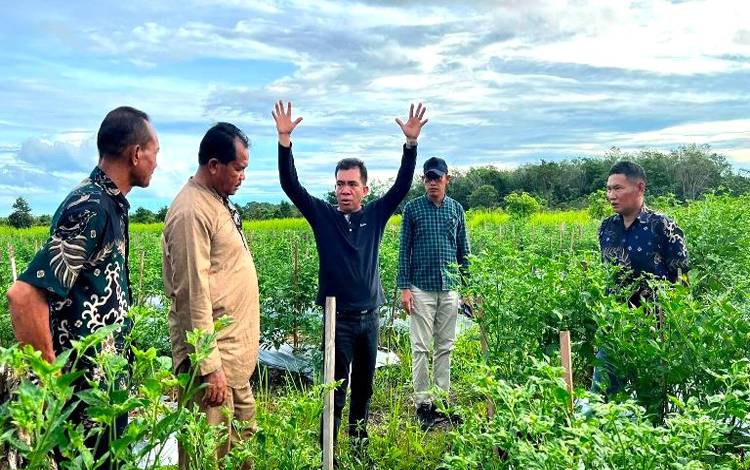 Kades Trinsing Manfaatkan Lahan Kosong untuk Tanam Cabai Rawit
