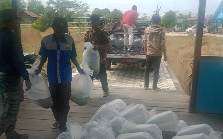 Pokdakan di Desa Terusan Mulya dan Terusan Raya Dapat Bantuan Bibit Ikan