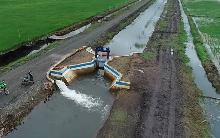 Wagub Kalteng Harap Dukungan Seluruh Kementerian Sukseskan Food Estate