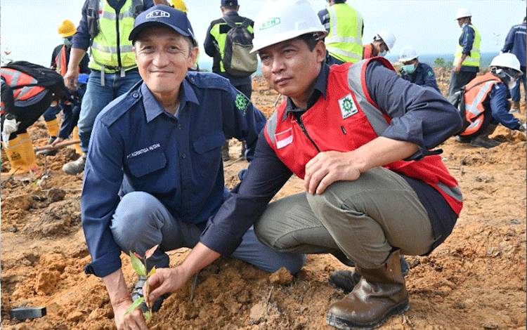 Hari Menanam Pohon Indonesia, PT. KTH Tanam Ribuan Pohon Eucalyptus Pellita