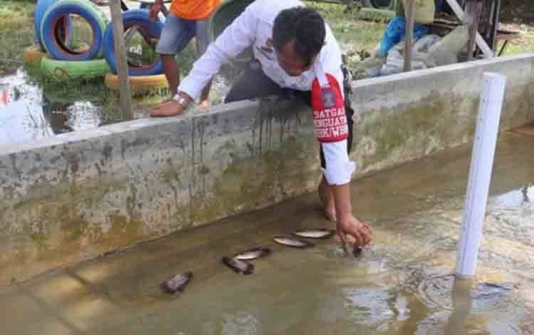 Persiapan kolam untuk pembudidayaan ikan gurame di Rutan Kelas IIB Kuala Kapuas, Rabu, 30 November 2022. (FOTO: IST)