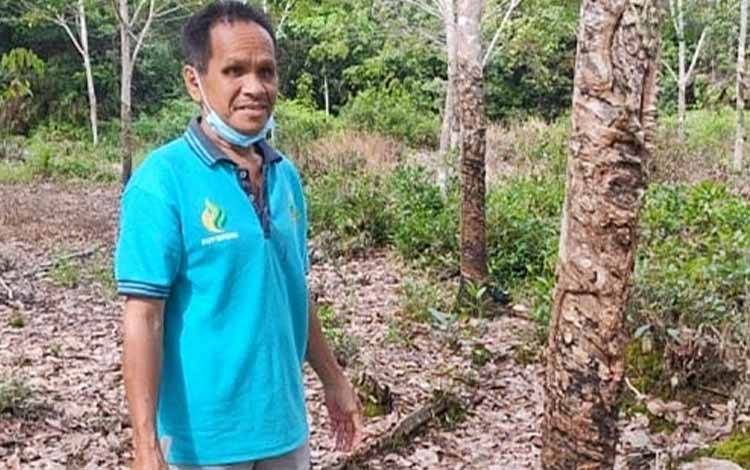 Penyuluh Pertanian di Paju Epat Demonstrasikan Cara Penggunaan Pembeku Lateks