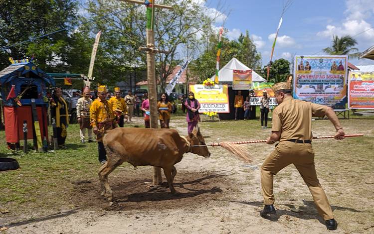 MDHK Kotim Gelar Ritual Mamapas Lewu, Manampung Sahur dan Magantung Sahur
