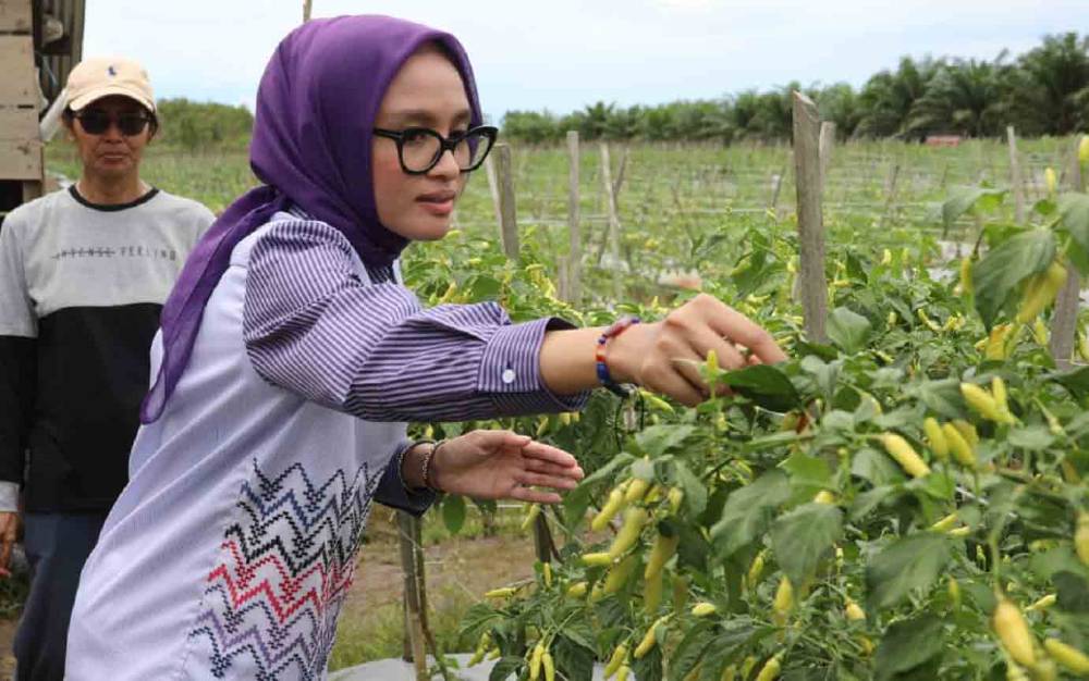 Ivo Sugianto Sabran Ingatkan Perlunya Melek Teknologi