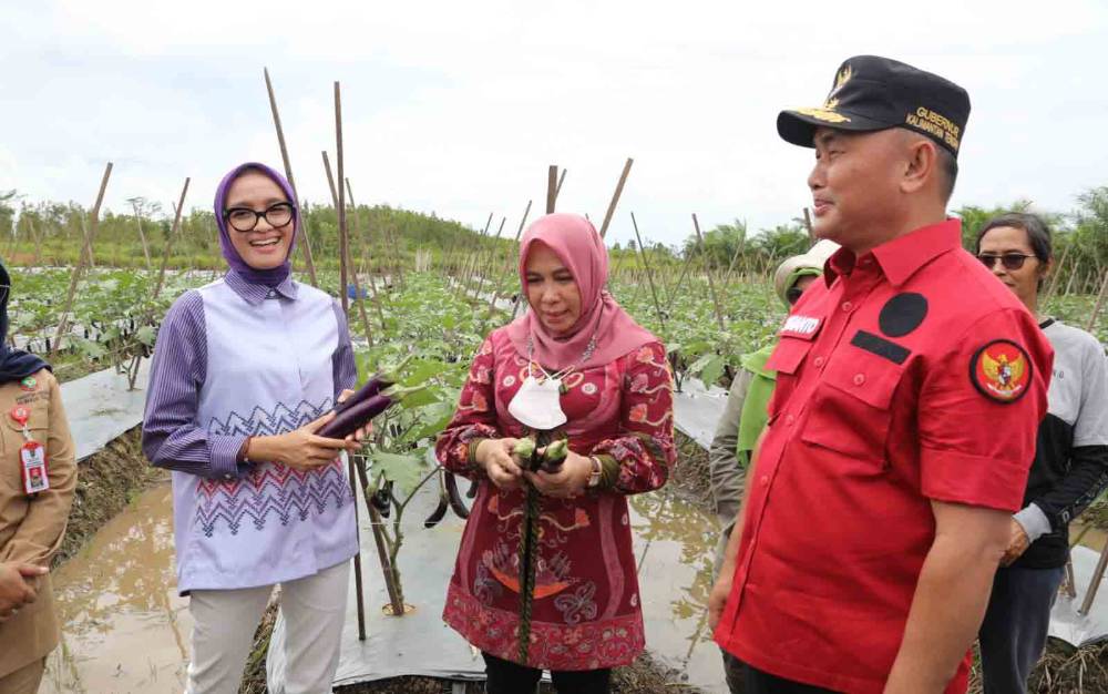 Hasil Memuaskan, Gubernur Kalteng Ajak Kaum Milenial Semangat Bertani