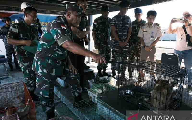 Lantamal Pontianak Gagalkan Penyelundupan Satwa Liar di Kapal Vietnam