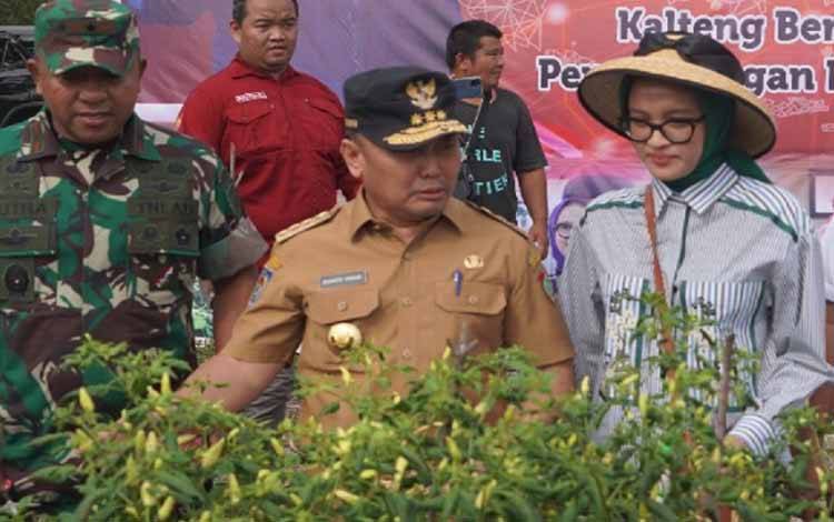TPHP Kalteng Harapkan Panen Dorong Stabilitas Harga Pangan  ?