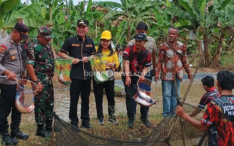 Bupati Ikut Panen Ikan Patin Milik Petani Milenial Sapma PP? Gunung Mas