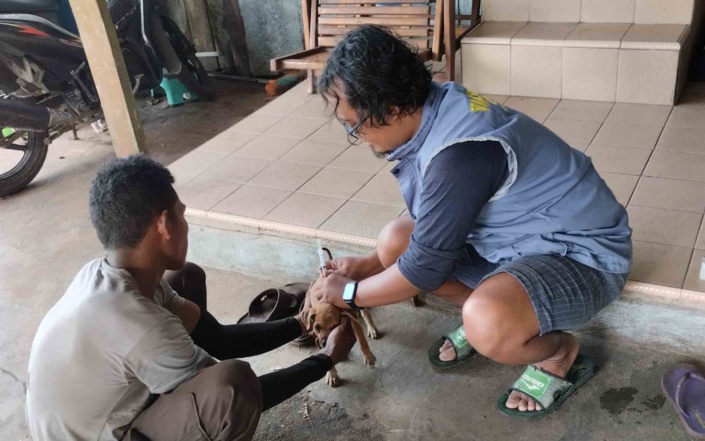 Tahun 2022 ada 8.731 Ekor Hewan Domestik Berhasil Divaksin Rabies