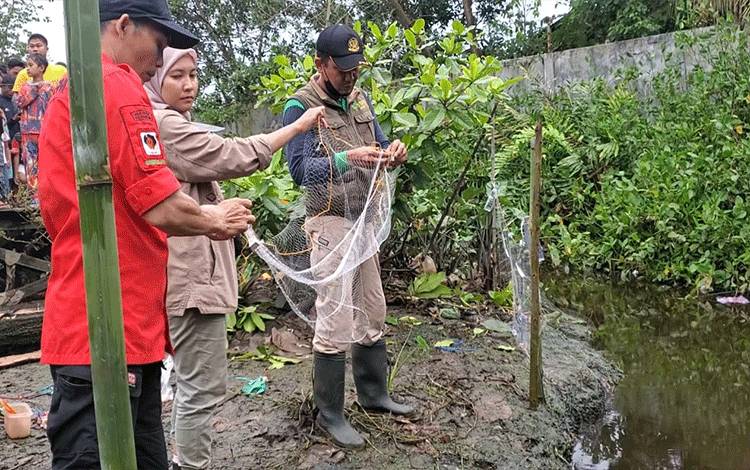 BKSDA Pasang Jerat Buaya di Sungai Mentawa