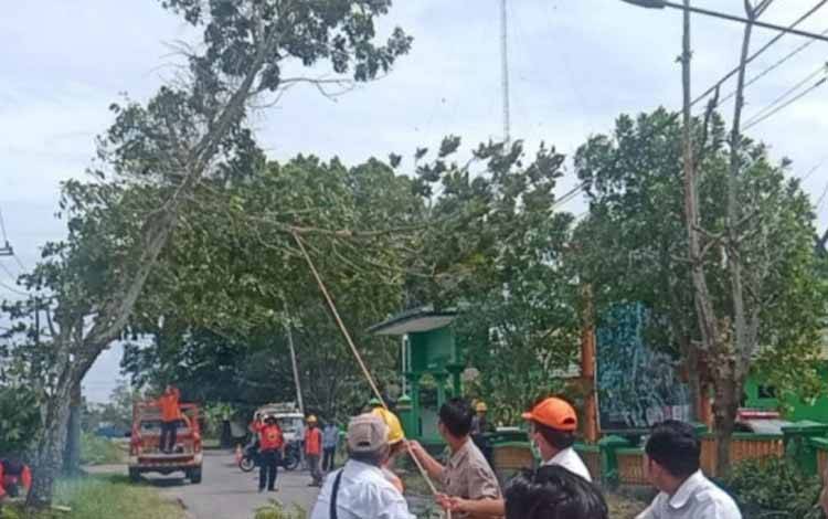 Personel BPBD Kobar saat melakukan penanganan terhadap pohon tumbang dan dahannya menimpa kabel listrik. (FOTO: WAHYU KRIDA)