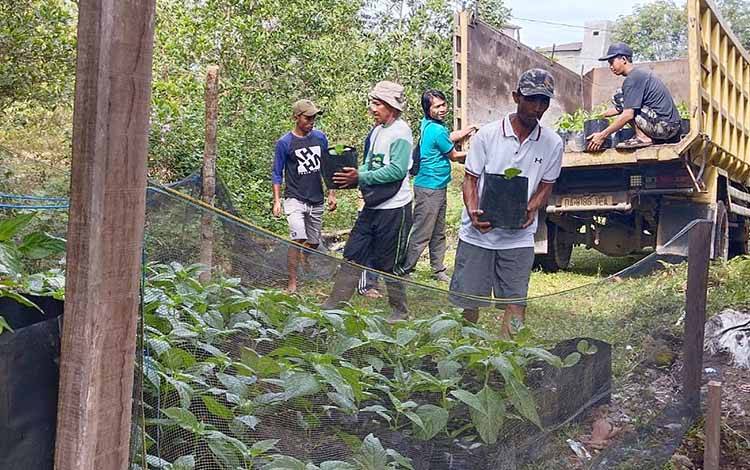 BPP Paju Epat Dampingi Warga Desa Telang Baru Manfaatkan Pekarangan