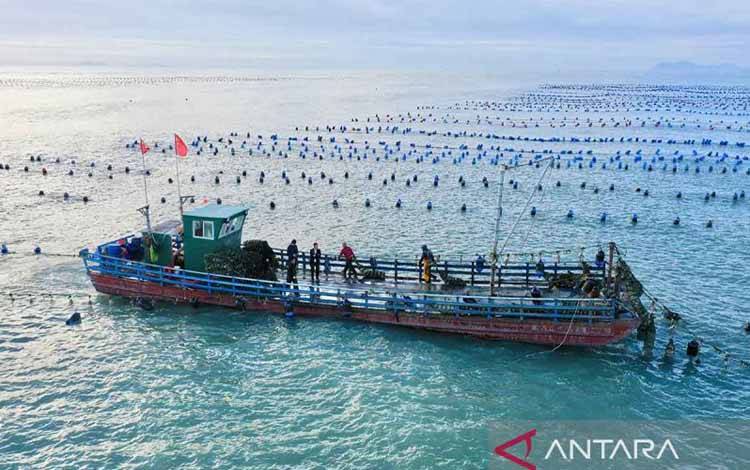 Perbatasan China-Taiwan Dibuka Setelah Tiga Tahun Tutup