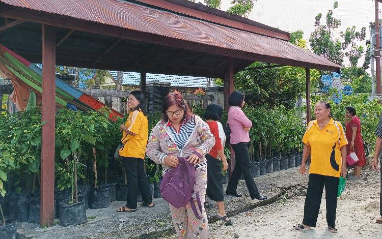 Masyarakat Kelurahan Kuala Kurun Sambut Baik Bantuan Tanaman Cabai dari Pemerintah