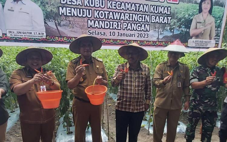 Pencapaian Hasil Petani Cabai Desa Kubu Diapresiasi oleh Ketua DPRD Kobas?