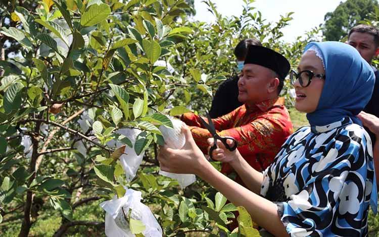 Gubernur Kalteng Ingatkan Pentingnya Ketahanan Pangan