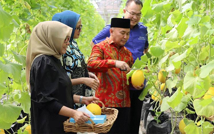 Pemprov Kalteng Siap Modali Kaum Milenial Kembangkan Pertanian