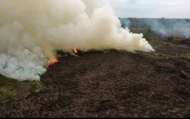 Tim Gabungan Padamkan Kebakaran Hutan dan Lahan di Desa Pamait