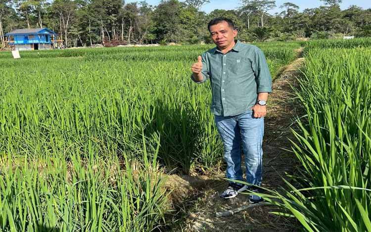 Kadis Pertanian: Hasil Panen di Lahan Poktan Mitra Laba Capai 8 Ton
