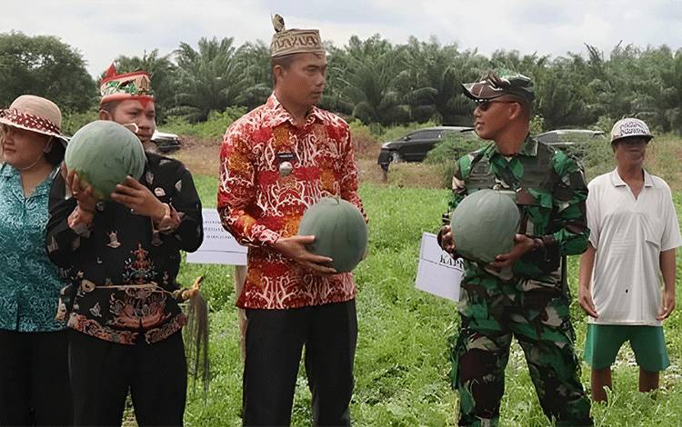 Pengembangan Potensi Semangka di Desa Pulau Kaladan Perlu Terus Didukung
