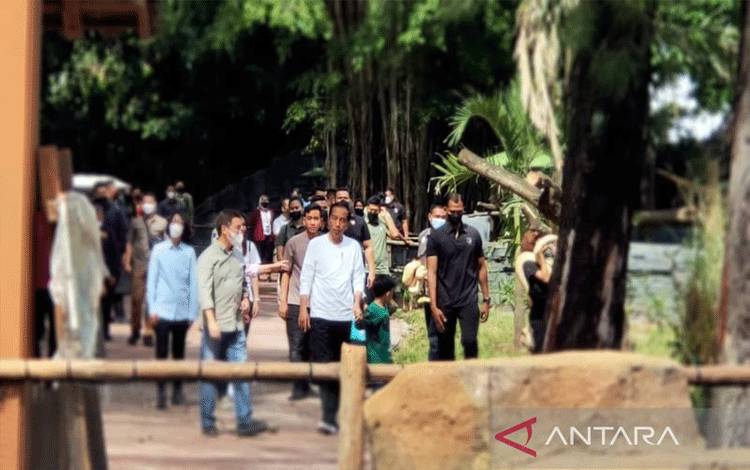 Presiden Jokowi Bersama Keluarga Kunjungi Solo Safari di Jurug