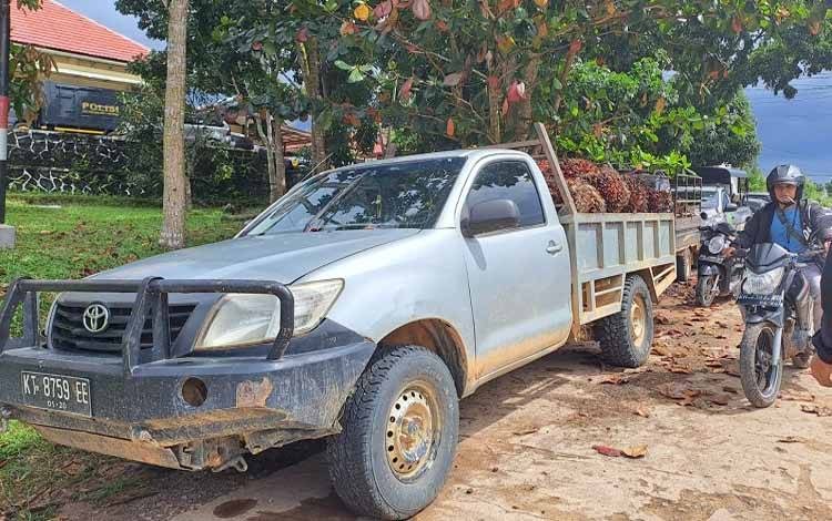 Otak Pencurian Buah Sawit Diringkus Polisi