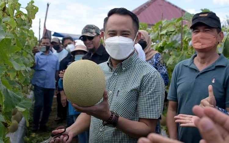 Politisi Hanura Dorong Pemko Palangka Raya Kembangkan Tanaman Pangan dan Hortikultura