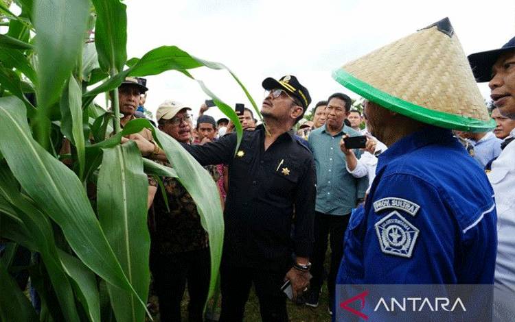 Mentan Yasin Limpo Dorong Petani Konawe Selatan Budi Daya Sorgum