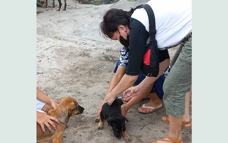 Vaksinasi hewan penular rabies di kawasan Kelurahan Menteng, Kota Palangka Raya digencarkan pascaditemukannya kasus gigitan rabies di wilayah tersebut. (FOTO: TESTI PRISCILLA)