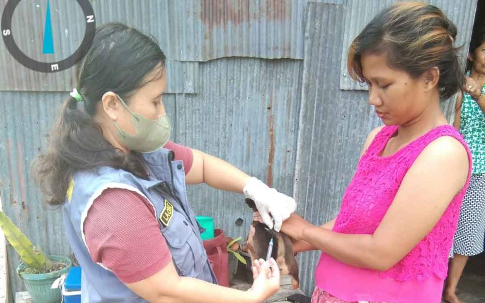 Masyarakat Membawa Hewan Peliharaan dari Luar Kota Diminta Melapor