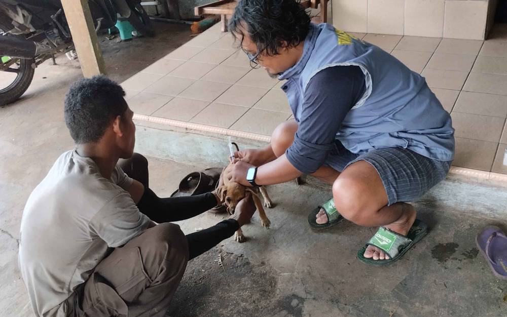 Vaksinasi rabies oleh vaksinator di Kota Palangka Raya. (FOTO: TESTI PRISCILLA)