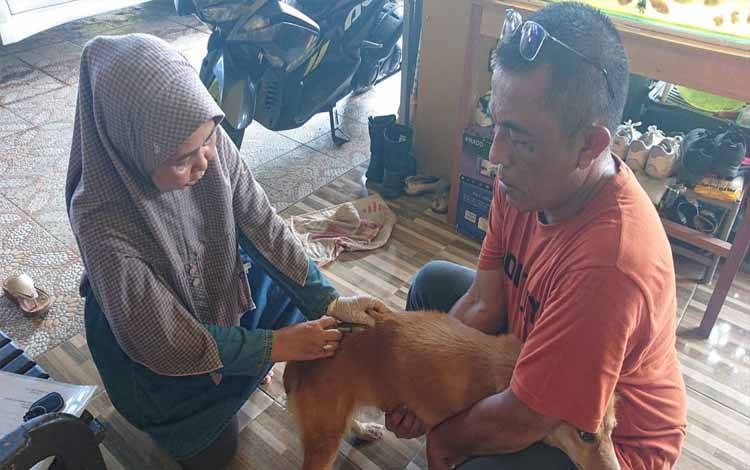 Pemilik Hewan Peliharaan Perlu Miliki Tanggung Jawab Terhadap Lingkungan Sekitar