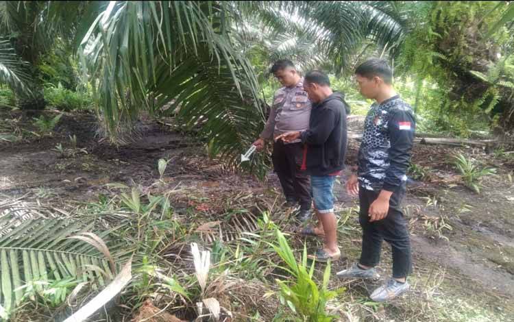 Curi Buah Sawit, 2 Orang Kabur dan 1 Berhasil Diborgol