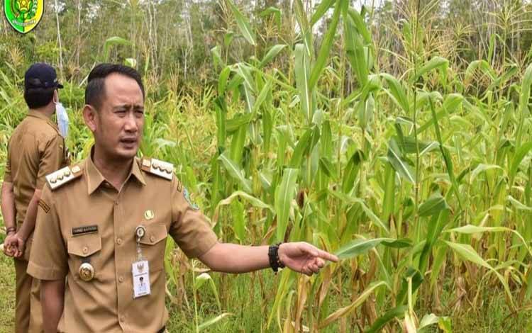 Wali Kota Palangka Raya Ajak Warga Manfaatkan Pekarangan Jadi Sumber Pangan