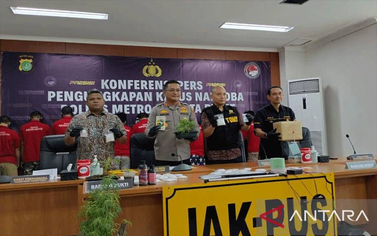 Polisi Ungkap Budidaya Kawin Silang Ganja dari Belanda