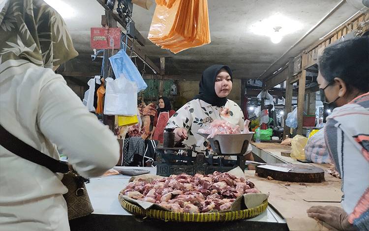 Harga Daging Ayam Broiler di Kobar Berangsur Turun
