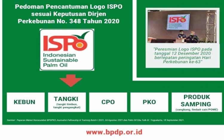 SPKS: Praktik Kelapa Sawit Berkelanjutan Harus Serius Diterapkan Semua Pihak
