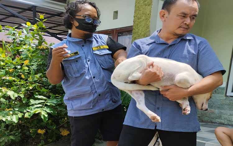 Vaksinator Rabies memberikan vaksin rabies kepada hewan peliharaan warga Kota Palangka Raya. (FOTO: TESTI PRISCILLA)