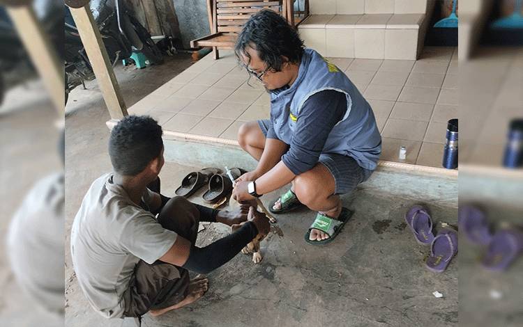 PDHI Kalteng: Idealnya Seluruh Kabupaten/Kota Harus Miliki Dokter Hewan Berwenang