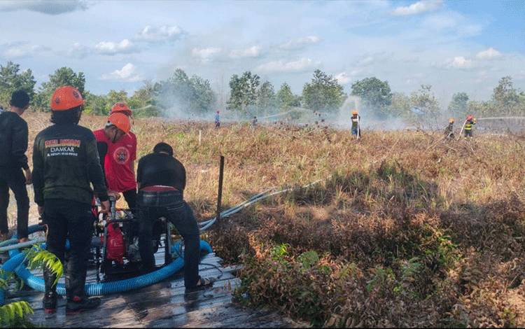 Lahan Seluas 1 Hektar di Sampit Terbakar