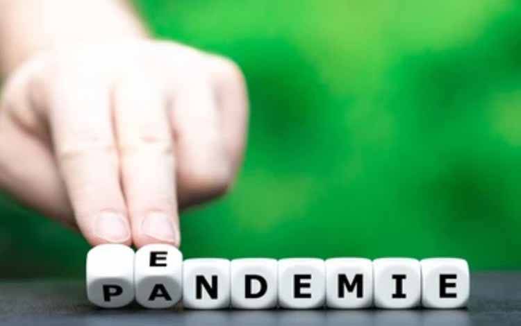 Kemenkes: Status Endemi Tunggu Keputusan WHO dan Presiden